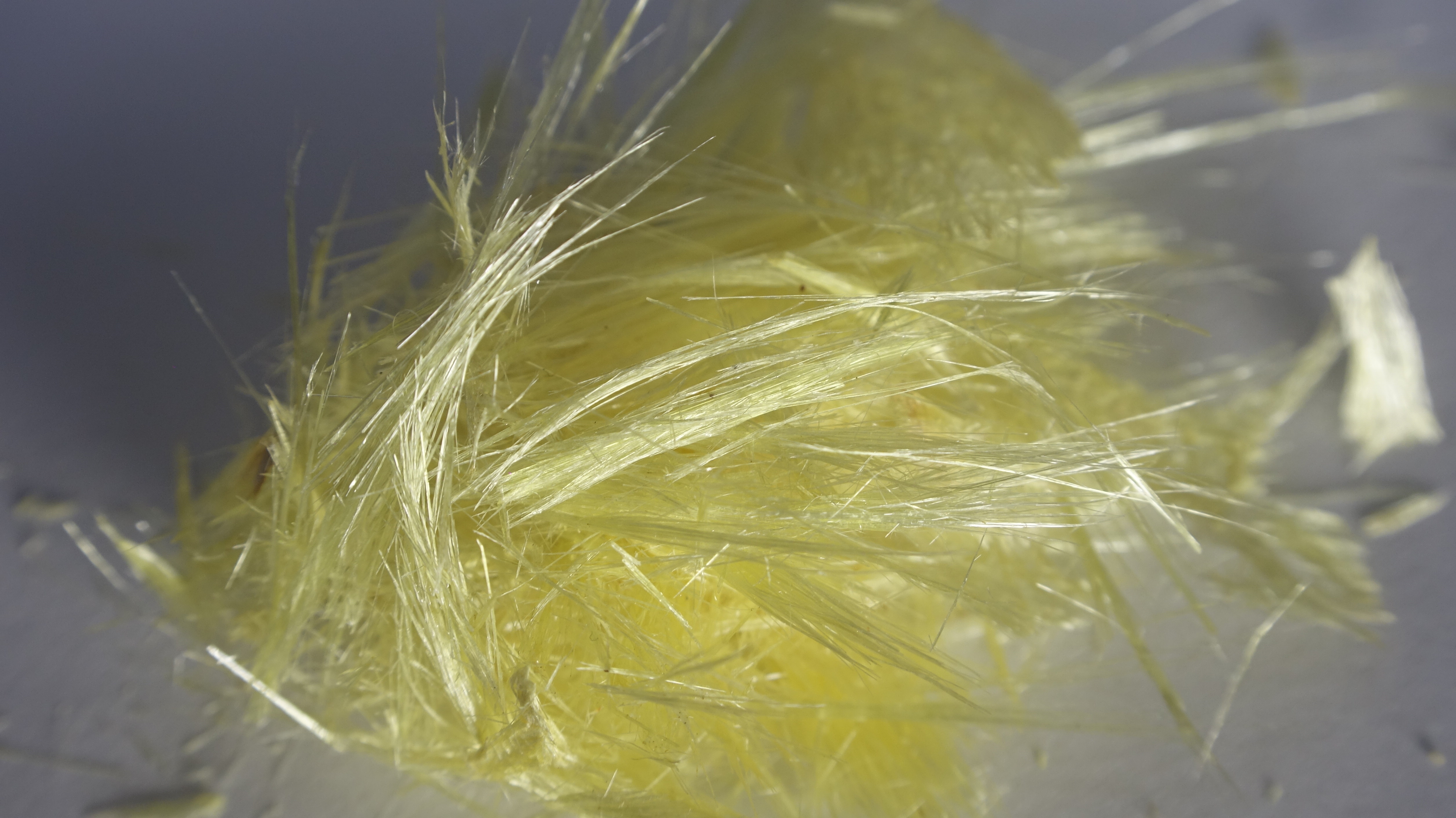 一些由植物分離出來的化合物 Isolated Compounds